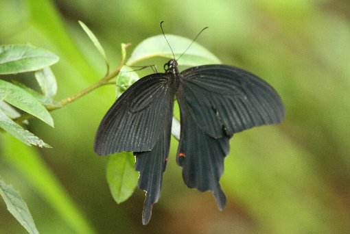 �N���A�Q�n