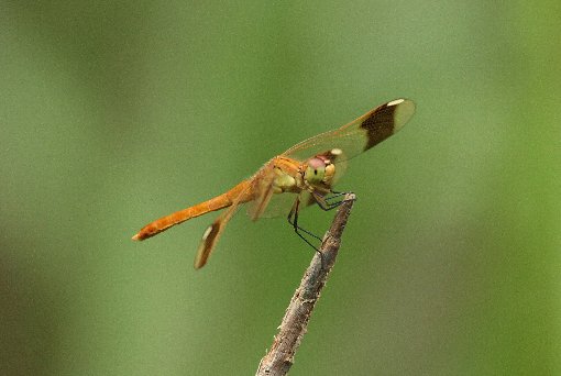 �~���}�A�J�l