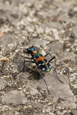 �i�~�n���~���E