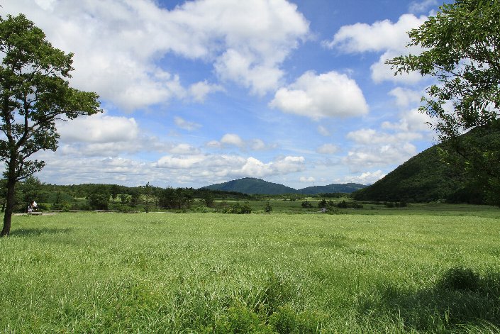 �^�f������