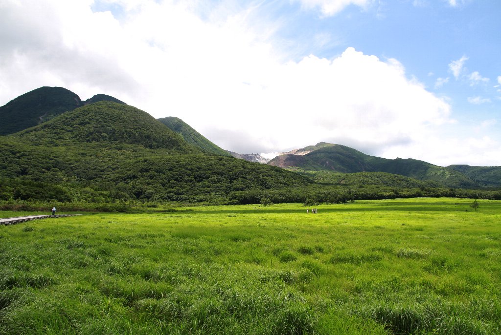 �^�f������