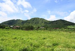 �^�f������