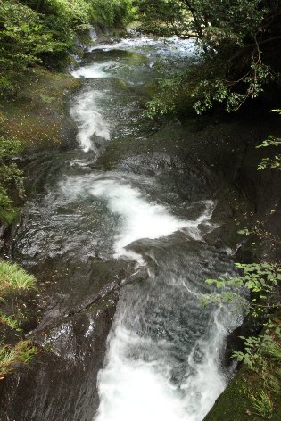 �����̏���