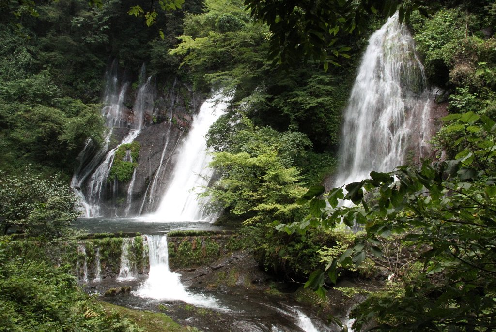 �����̑�