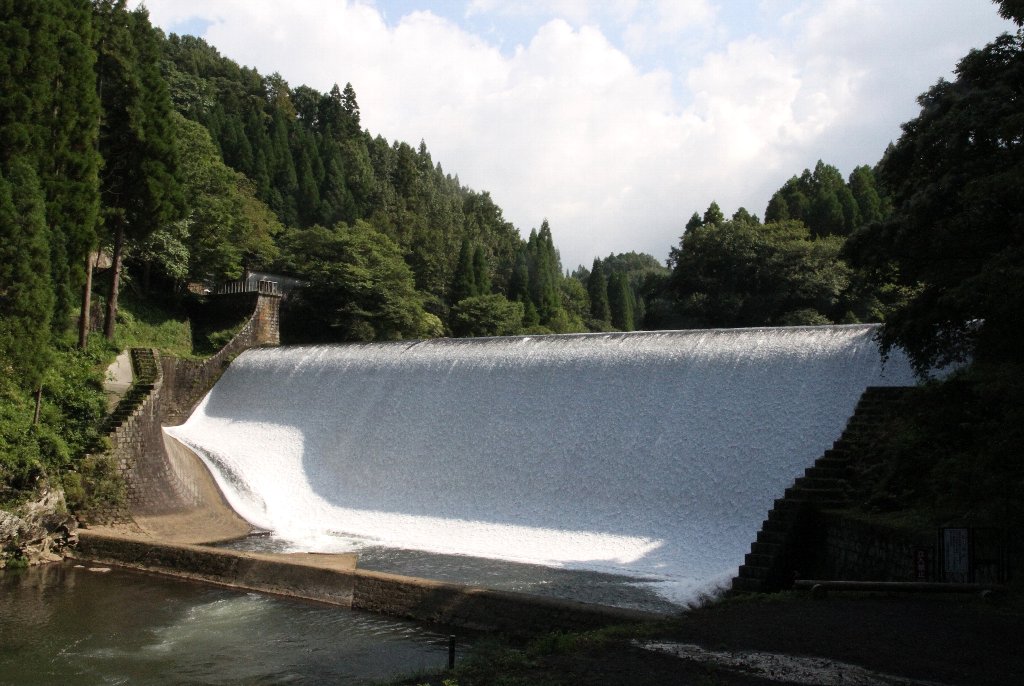 �����_��