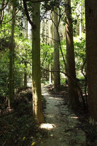 ������N���i��j�ւ̎R��