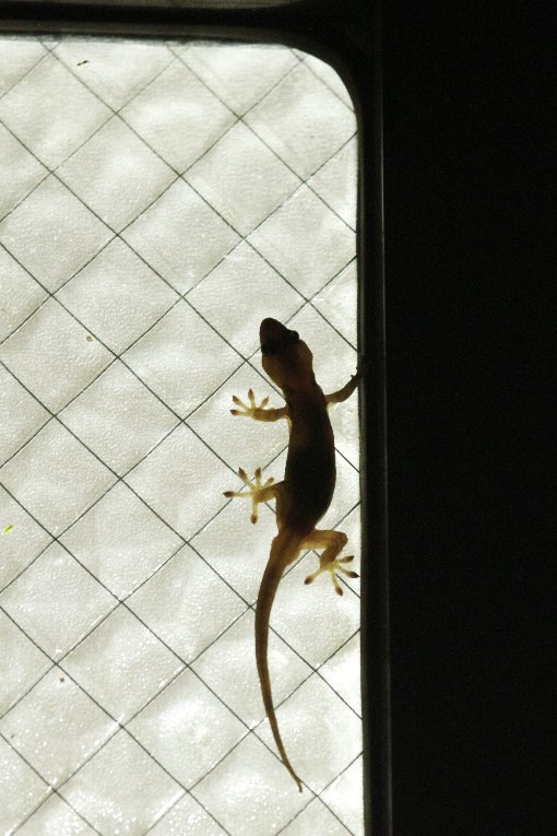 �j�z��������