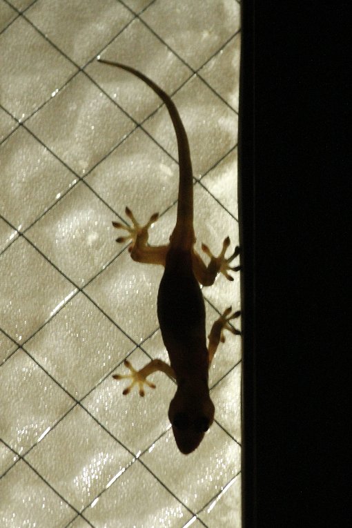 �j�z��������