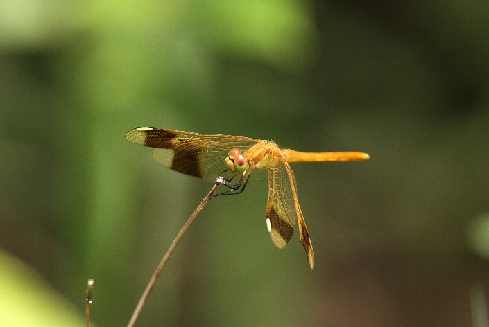 �~���}�A�J�l