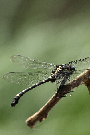 �R�I�j�����}