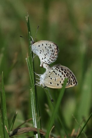 �V�W�~�`���E