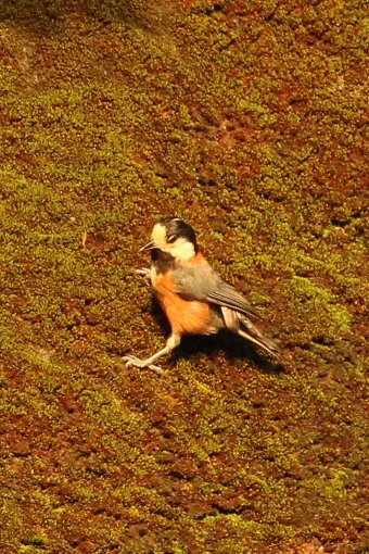 ���}�K��