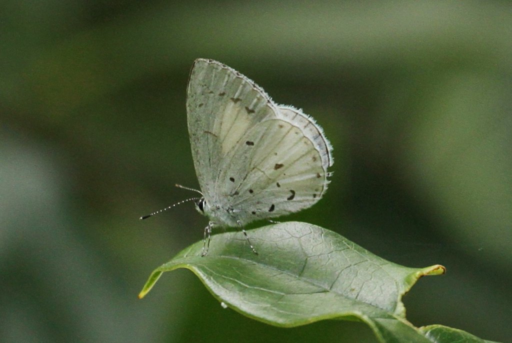 �T�c�}�V�W�~