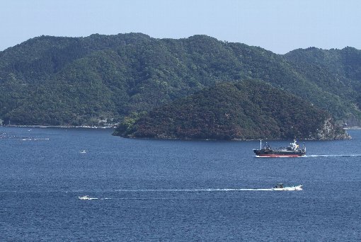 �ɍ艫�̍���