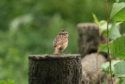 �z�I�W���i�j���j