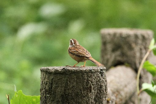 �z�I�W���i�j���j