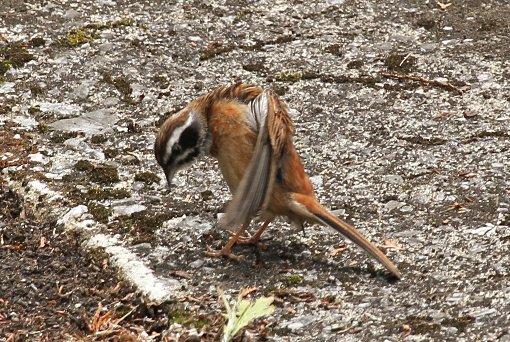 �z�I�W���i�j���j