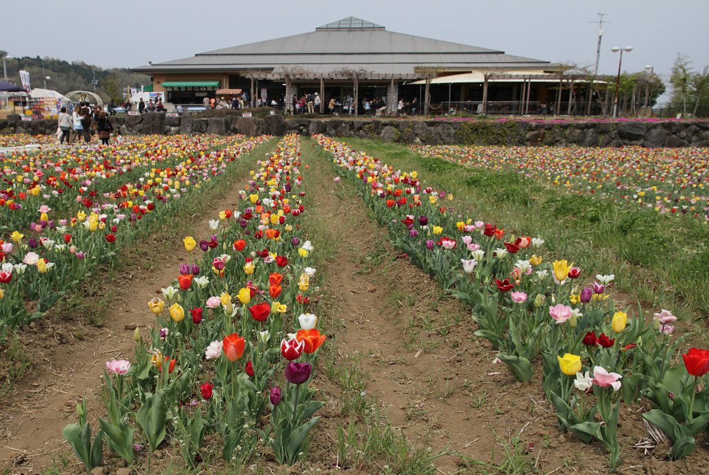 ���̉w�u���K�̑�v