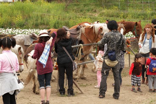 �|�j�[��e�����