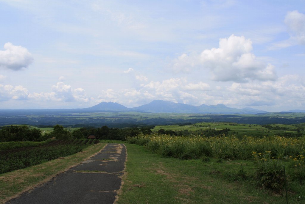 �q�S�^�C�������