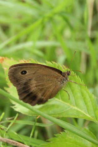 �W���m���`���E