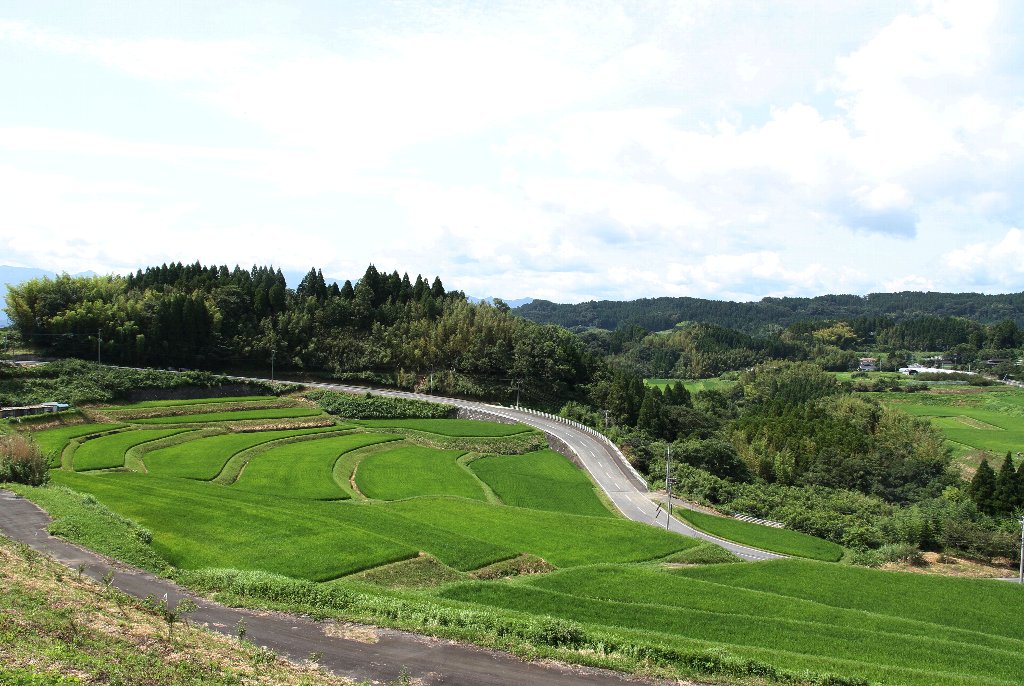 ���̉w�|�c�O�̒I�c