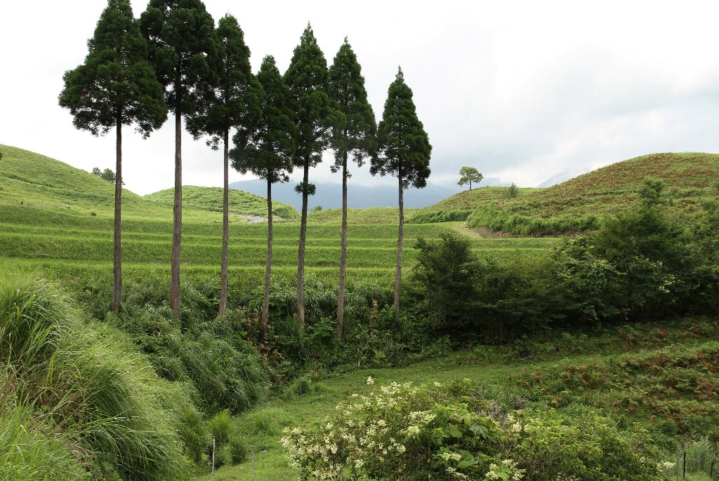 �u��c�v�i�I�c�j