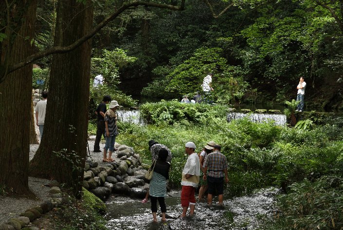 �����@�r�R����