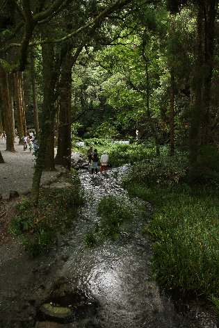 �����@�r�R����