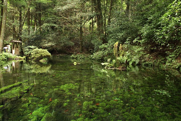 �����@�r�R����