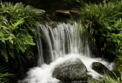 �r�R����