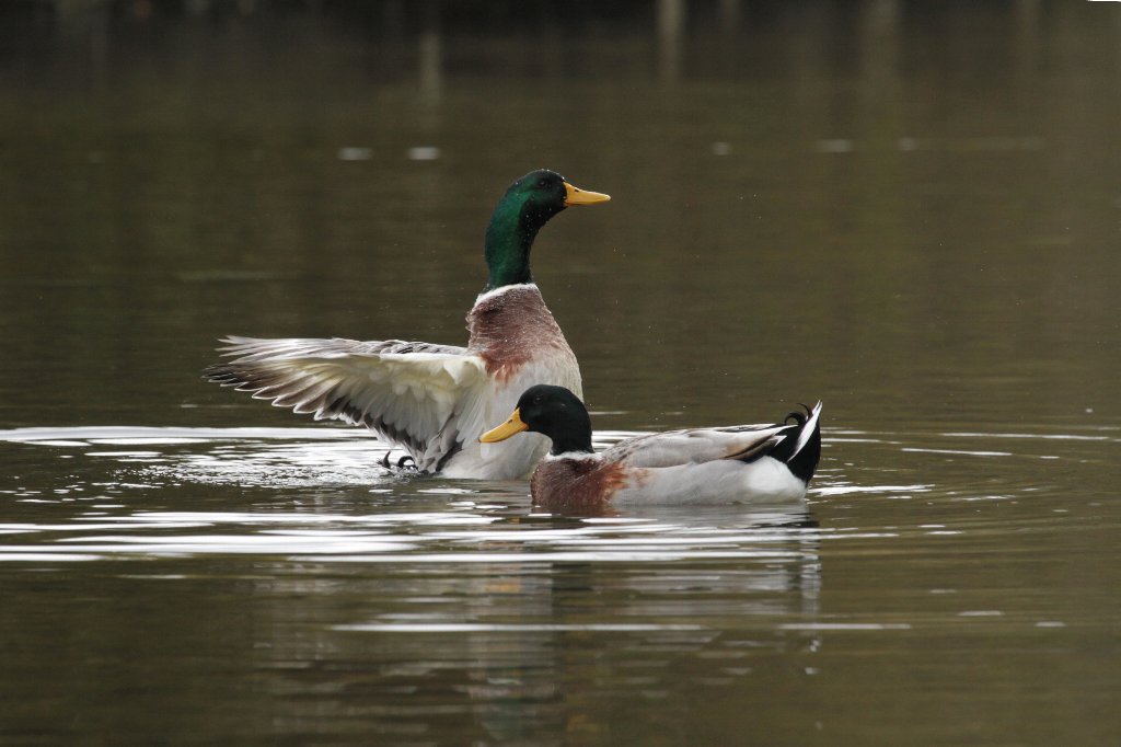 ���@�J��