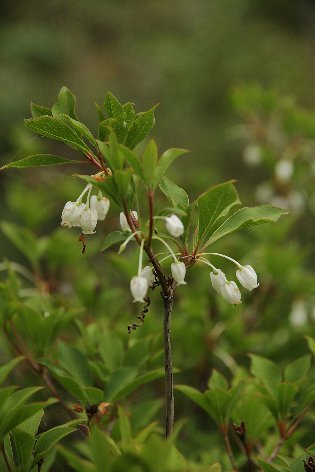 �����U�P