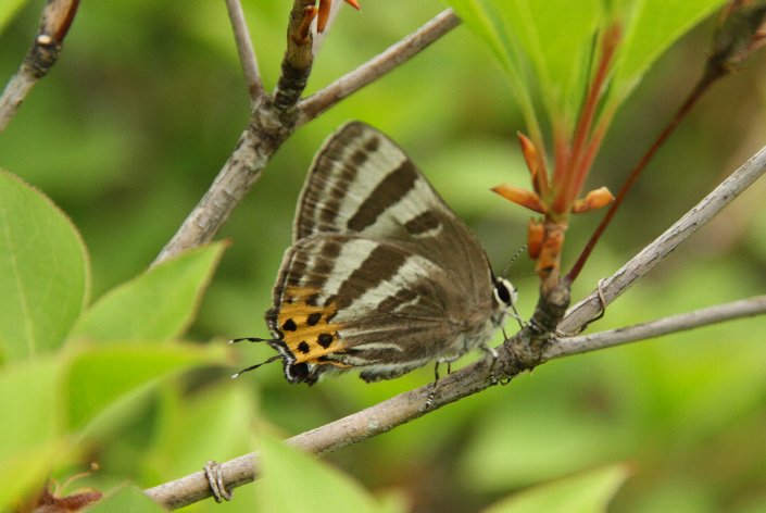 �Ք����D��