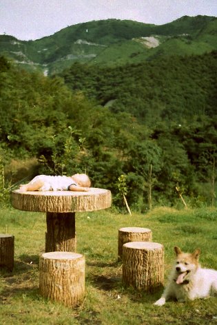 �P�X�V�X�N