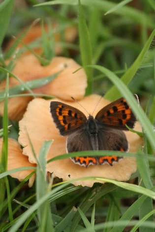 �x�j�V�W�~