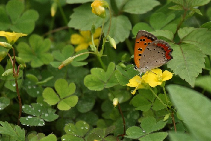 �x�j�V�W�~