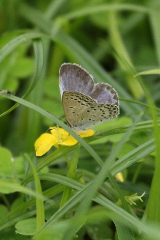 ���}�g�V�W�~