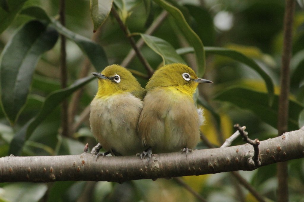 ��l�͒��ǂ�