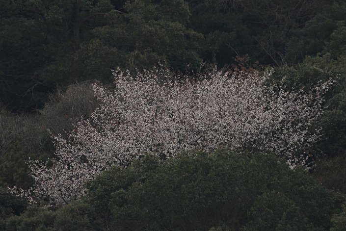 ���炫�̎R��