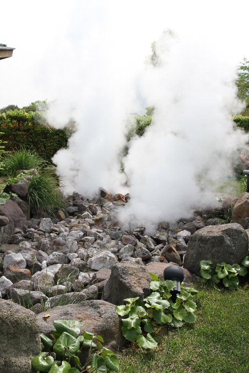 �S�ΖV��n��