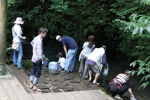 男池の湧水