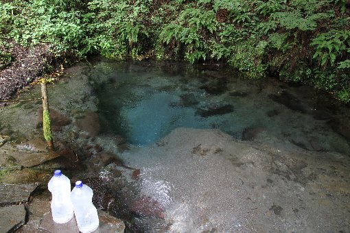 男池の湧水