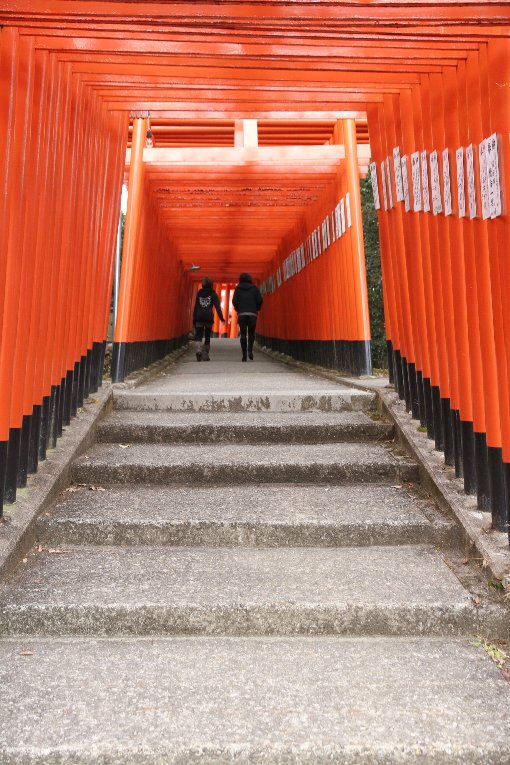 真っ赤が沢山