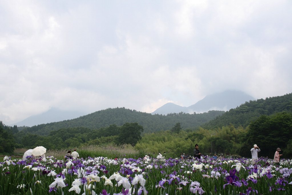 由布岳と鶴見岳・・・Yan