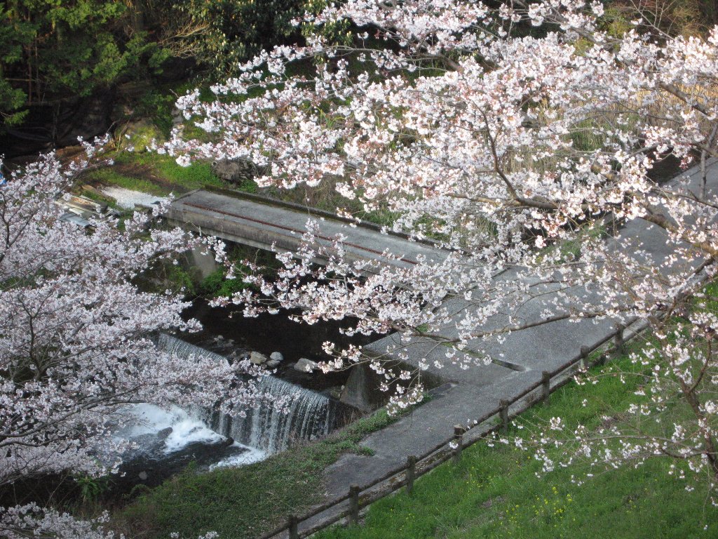 �]�_���E��