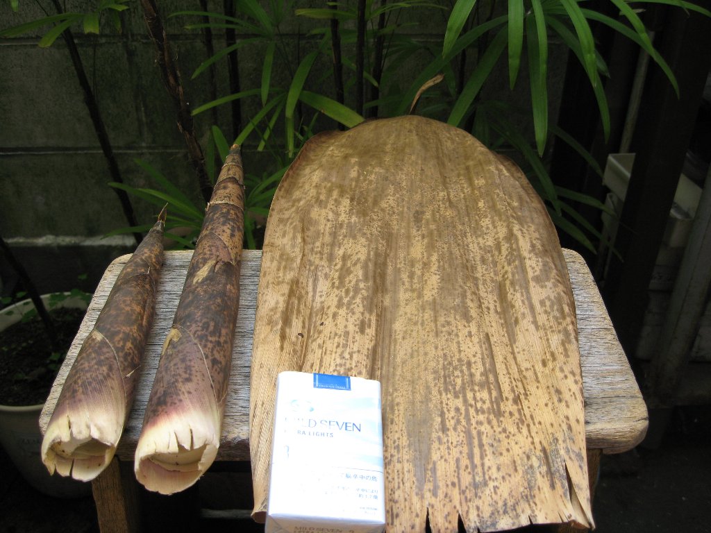 �^�|�̔�i���N�̂���j