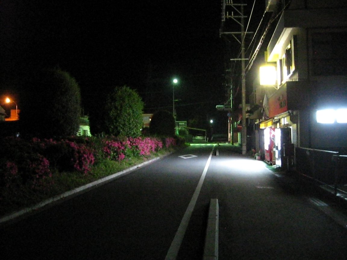 ツツジでnight