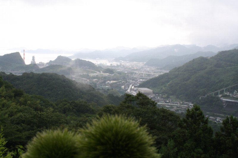 栗が落ちていた