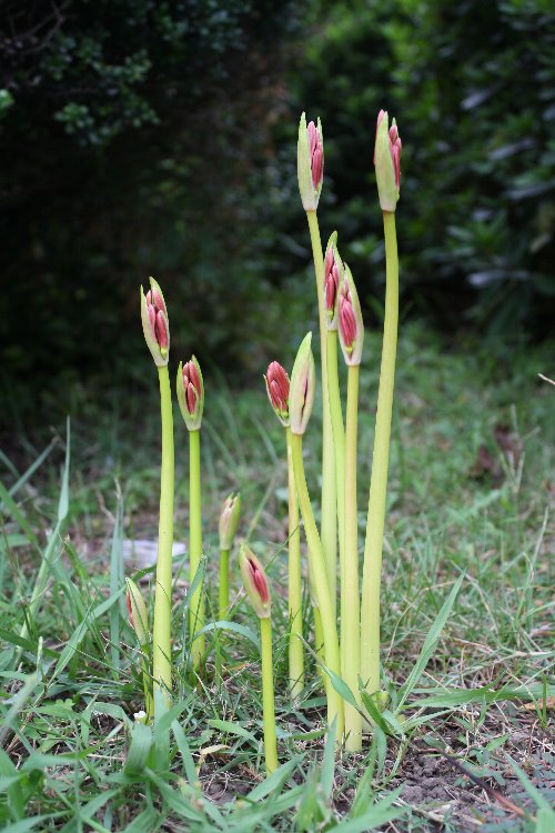 �Q�V����